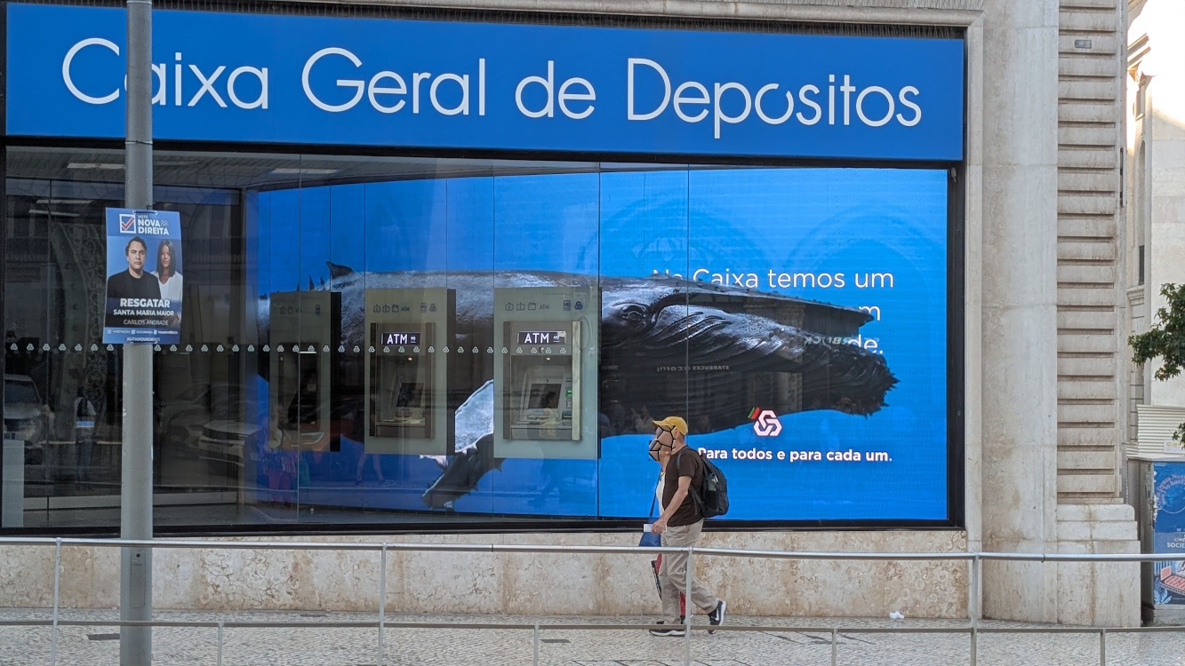 Digital Storytelling: The Whale in the Window - Whale in the Window - bank in Lisbon (Image: invidis) Whale in the Window - bank in Lisbon (Image: invidis)