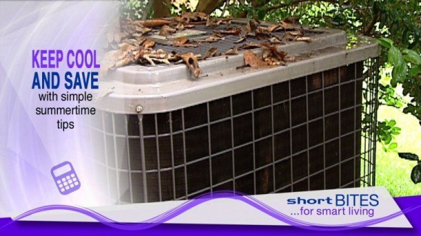 Content: Short Bites Adds Consumer Tips; Lowers Prices