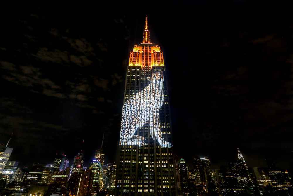 Projects: Empire State Building Gets Projection-Mapped To Aid Endangered Species