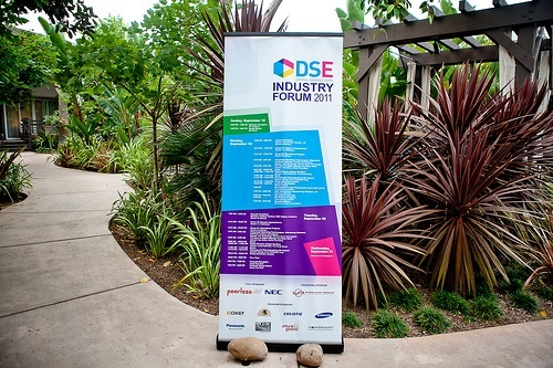 DSE Doing Another Speed-Dating Weekend