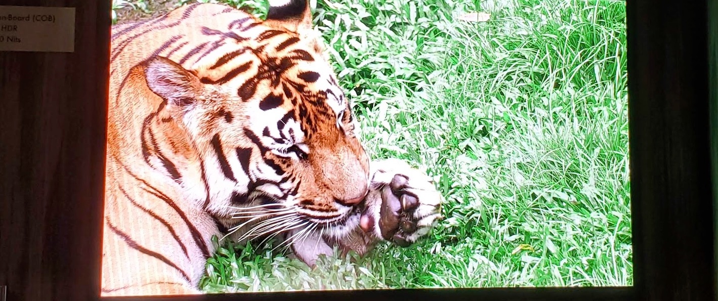 Next Week’s AVIXA Digital Signage Power Hour Is Focused On LED And MicroLED