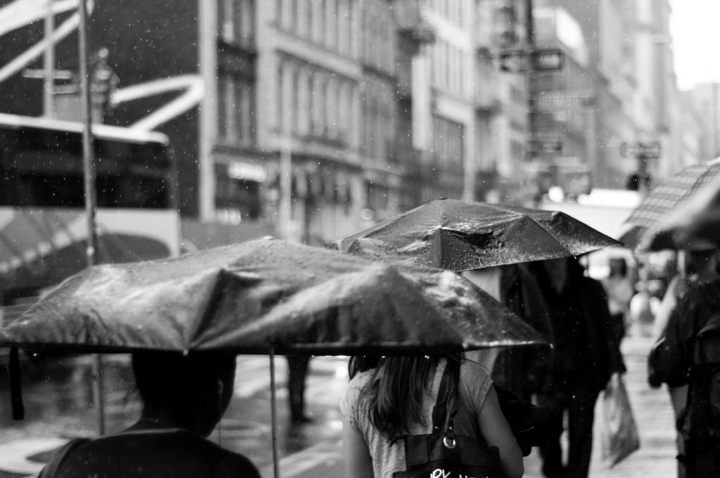 NYC Morning Blitz – What To See?