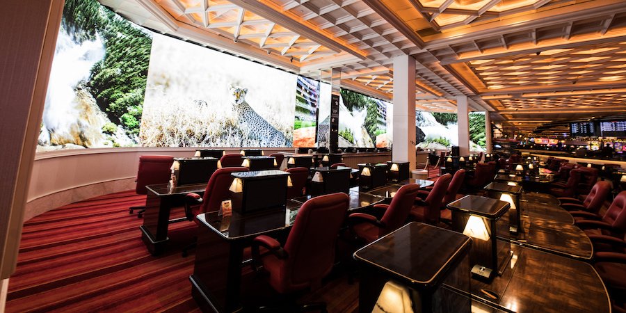 Remodeled Reno Sportsbook Features 110-Foot, Curved LED Wall