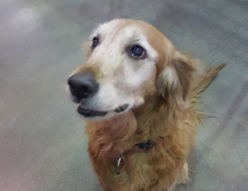 Digital Signage’s Big Boys Creating Some Separation From Pack Through Facilities