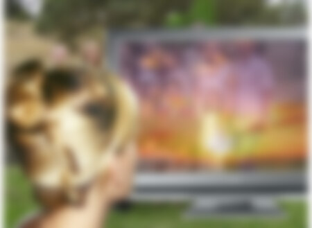 See-through LCD an alternative to window projection?