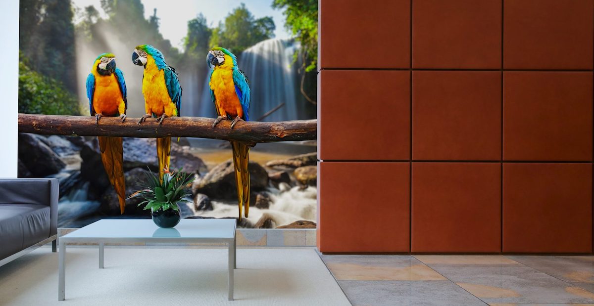 Video Wall Processing Tech Firm Brompton Gets £5.1m Growth Boost