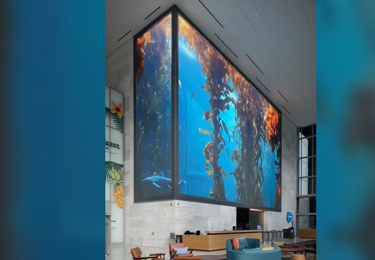 Endangered Kelp Forests Get Replicated On Big SFO LED Display