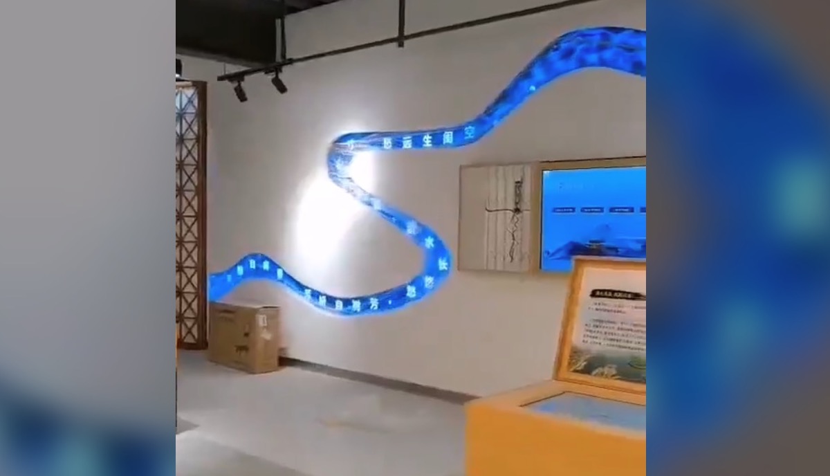 Snake? River? Not Sure, But This Embedded LED Wall Is Interesting