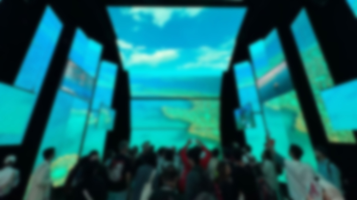 Sea country zone in Australia's Expo 2025 pavilion (Image: Absen)